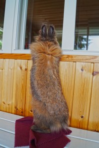 TuBaoBei curios as always