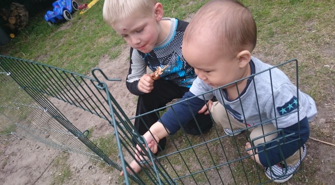 Spending a Day with the Family