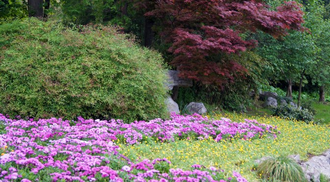 City Tour Extreme: Day Two, Yangzhou and Suzhou