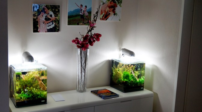 Something More About Me