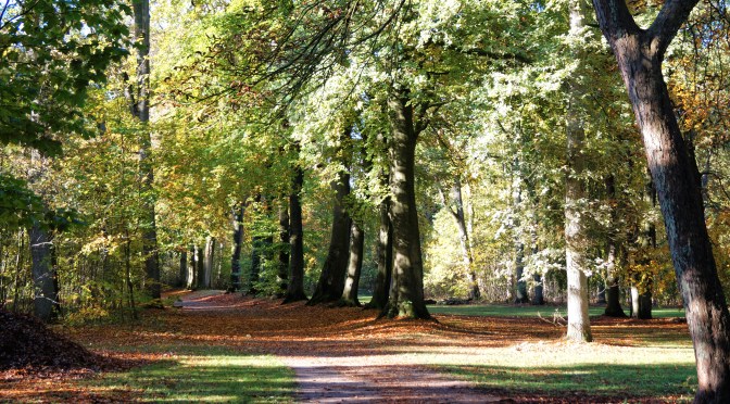 Enjoying the colorful autumn