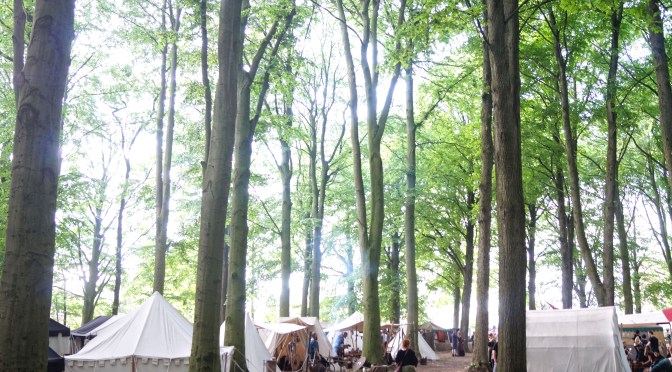 Revisiting the Middle Ages